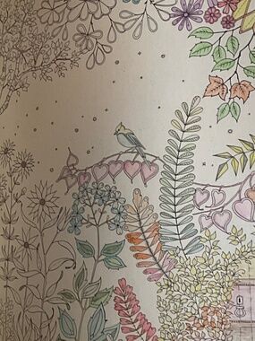 Color book secret garden